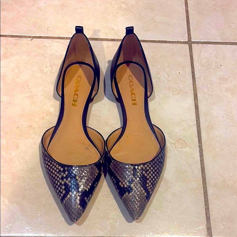 Coach Snakeskin Women's Shoes